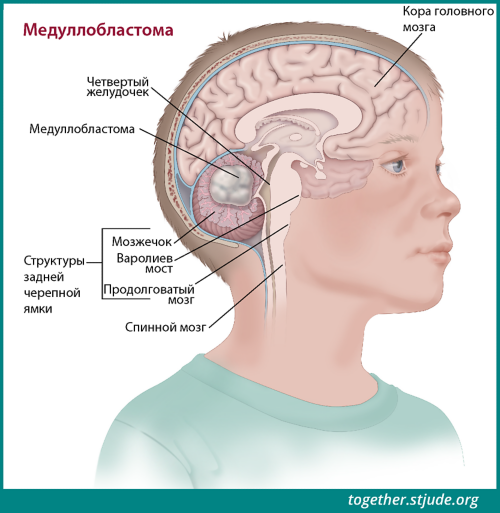 Ямочки на щеках: почему появляются и можно ли их сделать