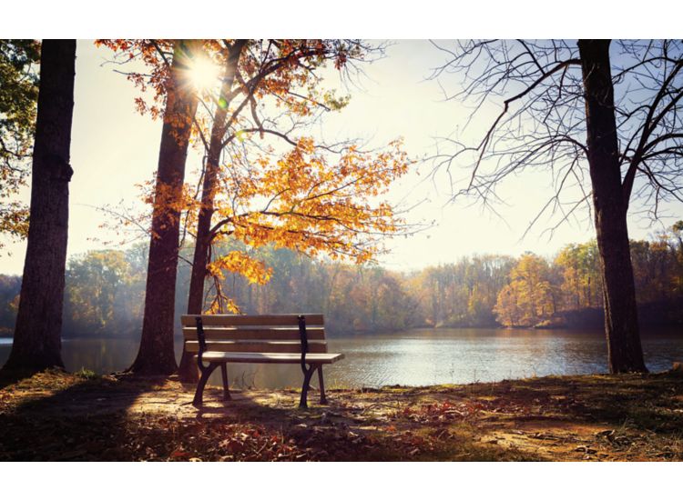 Bench along the river during autumn