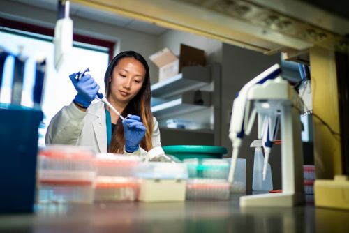 Scientist using a pipette at a workbench