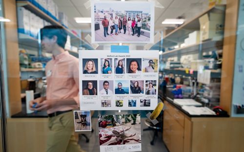 Awards from the Mefford lab on display outside the bench area.