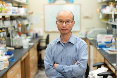 Qi Miao, PhD