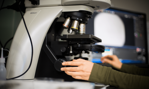 A pathologist works a microscope to look at tissue histology to identify a specific type of pediatric cancer.