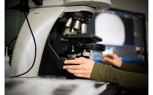 photo of microscope
