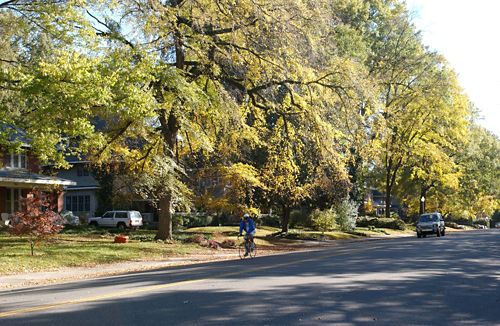 photo of residential street in Central Gardens, Memphis