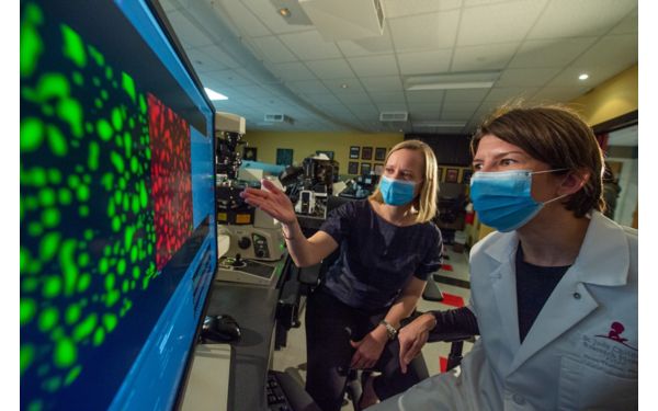 Labs | St. Jude Research