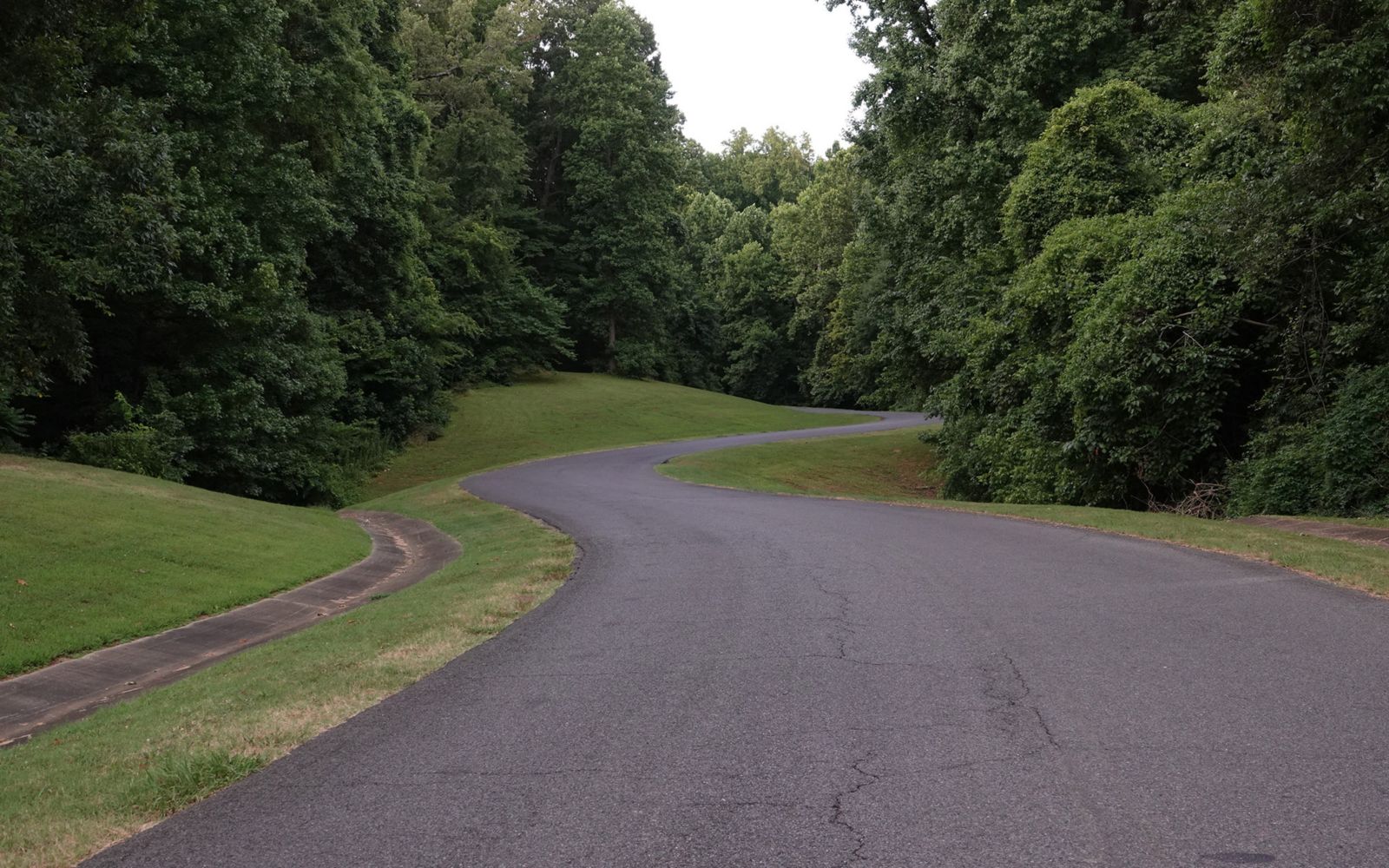 photo of road winding through park