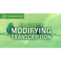 St. Jude on Modifying Transcription
