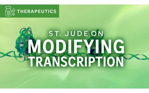 St. Jude on Modifying Transcription