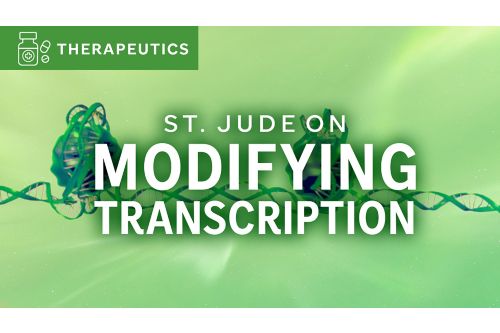 St. Jude on Modifying Transcription