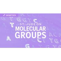 St. Jude on Genetics Molecular Groups