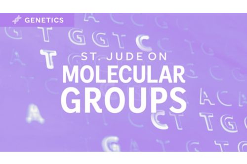 St. Jude on Genetics Molecular Groups