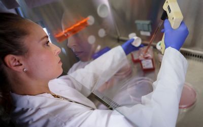 Photo of scientist in lab working