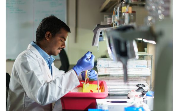 Labs | St. Jude Research