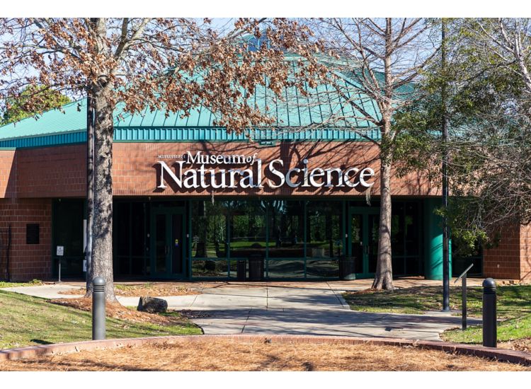 photo of exterior of building surrounded by trees