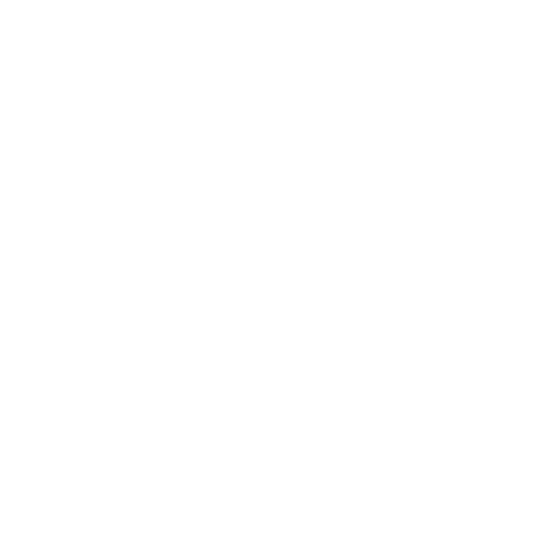 Capsule icon