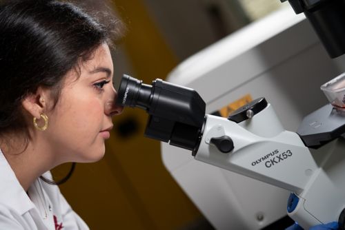 female scientist looking into microscope