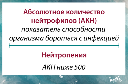 Абсолютное количество нейтрофилов позволяет оценить способность организма бороться с инфекциями. Нейтропенией называют состояние, когда АКН ниже 500.