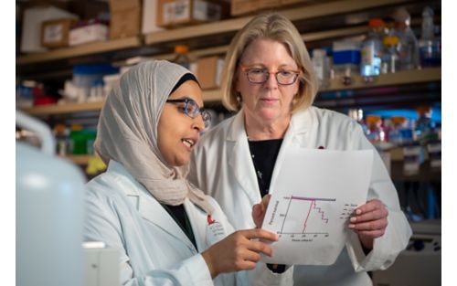 Two women looking at something in a lab