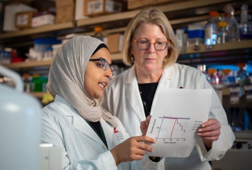 image of two women reviewing paper