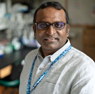 Stanley Nithianantham, PhD