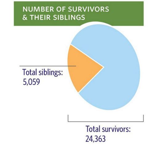 Pie chart - Number of survivors and their siblings