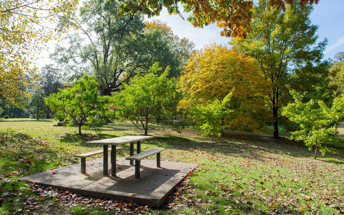 Explore Overton Park in Memphis, Tennessee