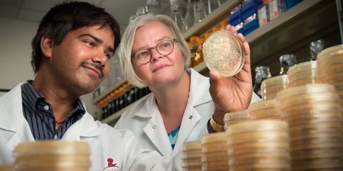 Rajesh Yadav, PhD, with Janet Partridge, PhD,