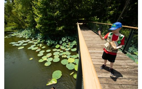 Young boy on bridge near pond