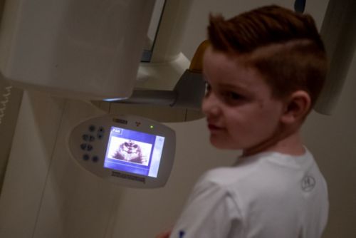 Las radiografías panorámicas permiten a los dentistas observar el desarrollo de la raíz y la resistencia del hueso de soporte.