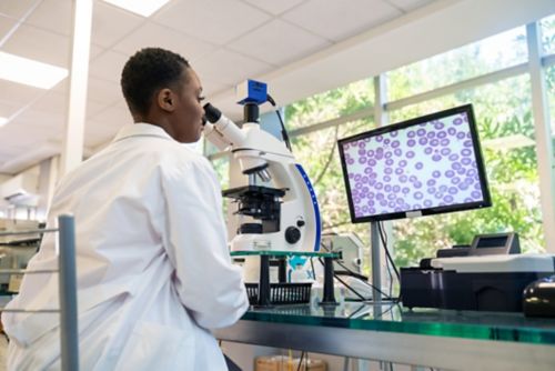 Mujer patóloga sentada frente al microscopio
