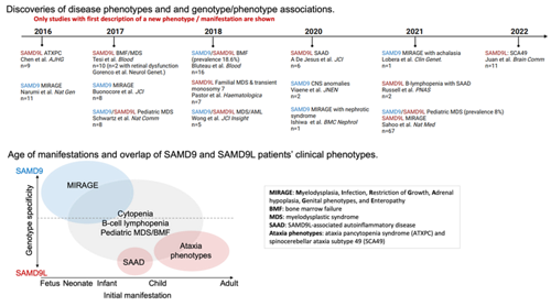 grpahic showing timeline of discovery of phenotypes