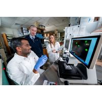 (L to R) First author Prahalathan Pichavaram, PhD, corresponding author Andrew Murphy, MD, St. Jude Department of Surgery and co-author Carolyn Jablonowski, PhD. 