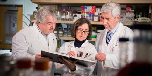 image of 3 people looking at book