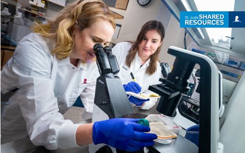 Shondra Pruett-Miller, PhD, and Jamaica Siwak at work