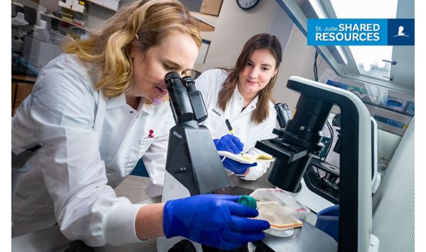 Shondra Pruett-Miller, PhD, and Jamaica Siwak at work