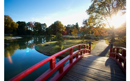 Photo of red bridge above pond 