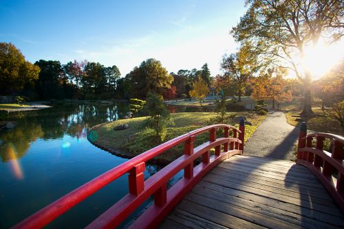 Pont rouge dans un jardin japonais sous le soleil de fin d'après-midi