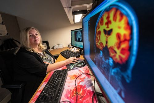 Woman studying digital image of human brain