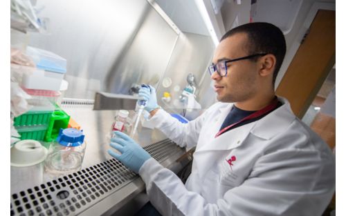 scientist working with test tubes