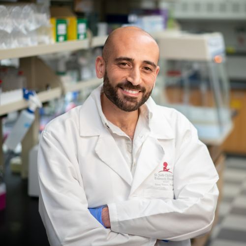 Alaa Refaat, PhD
