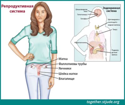 Видная Женщина Фото