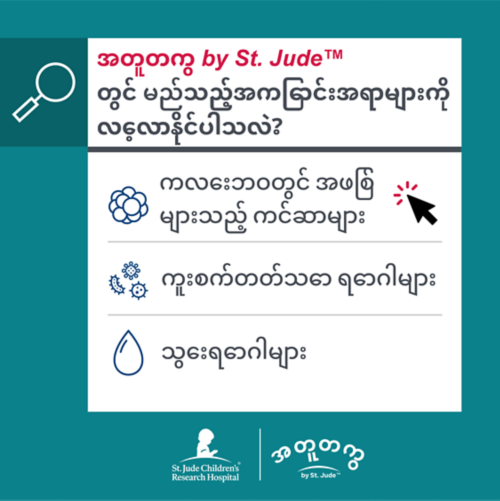 St. Jude™ ၏ အတူတကွ အွန်လိုင်းအရင်းအမြစ်တွင် ယခုအခါ ကလေးဘဝနှင့် ဆယ်ကျော်သက်ကင်ဆာအပြင် သွေးရောဂါများနှင့် ကူးစက်ရောဂါများဆိုင်ရာ အချက်အလက်များလည်း ပါဝင်လာပါသည်။