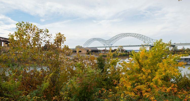 View of Hernando De Soto Bridge in Memphis with trees in the foreground.