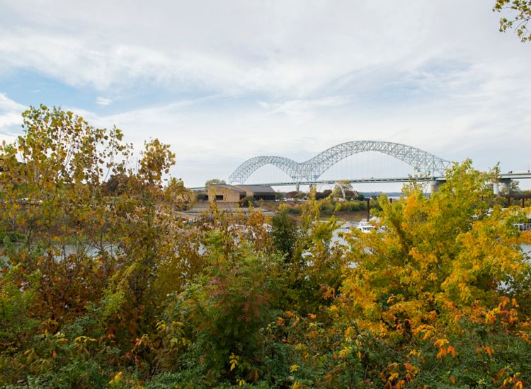 View of Hernando De Soto Bridge in Memphis with trees in the foreground.