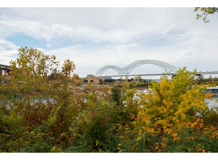 View of Hernando De Soto Bridge in Memphis with trees in the foreground.