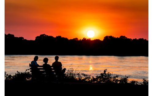 Family watching sunset