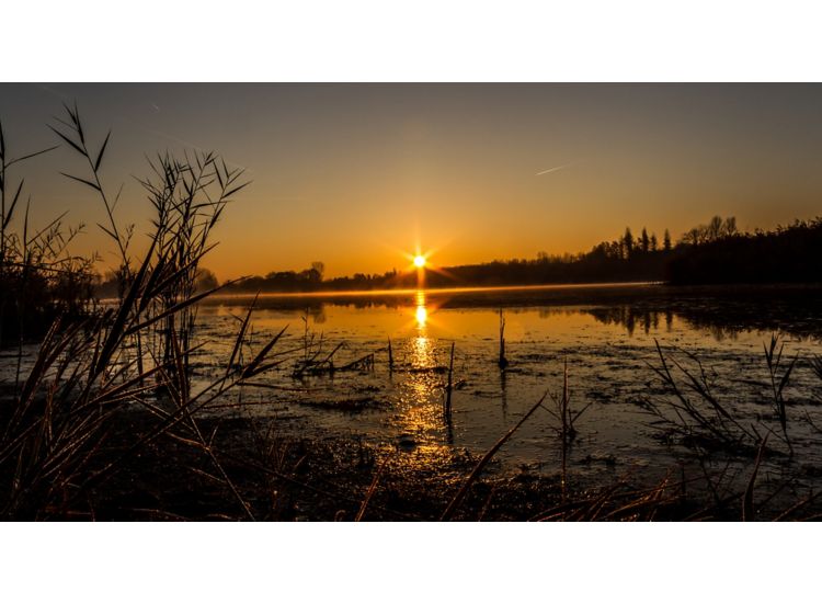 Low angle view of a river at sunset with reeds and marsh in the foreground.