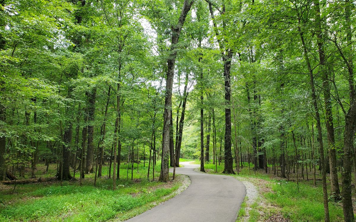 Robbins Halle Preserve trail