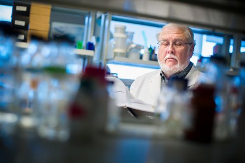 Photo of Charles Rock reviewing journal