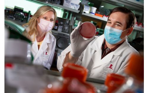 Two people in white coats looking at a Petri dish